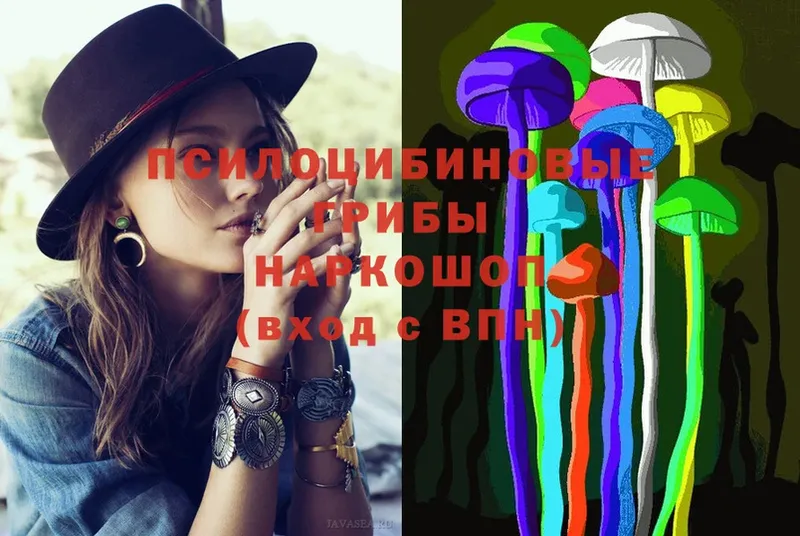 Галлюциногенные грибы Psilocybe  кракен зеркало  Исилькуль 